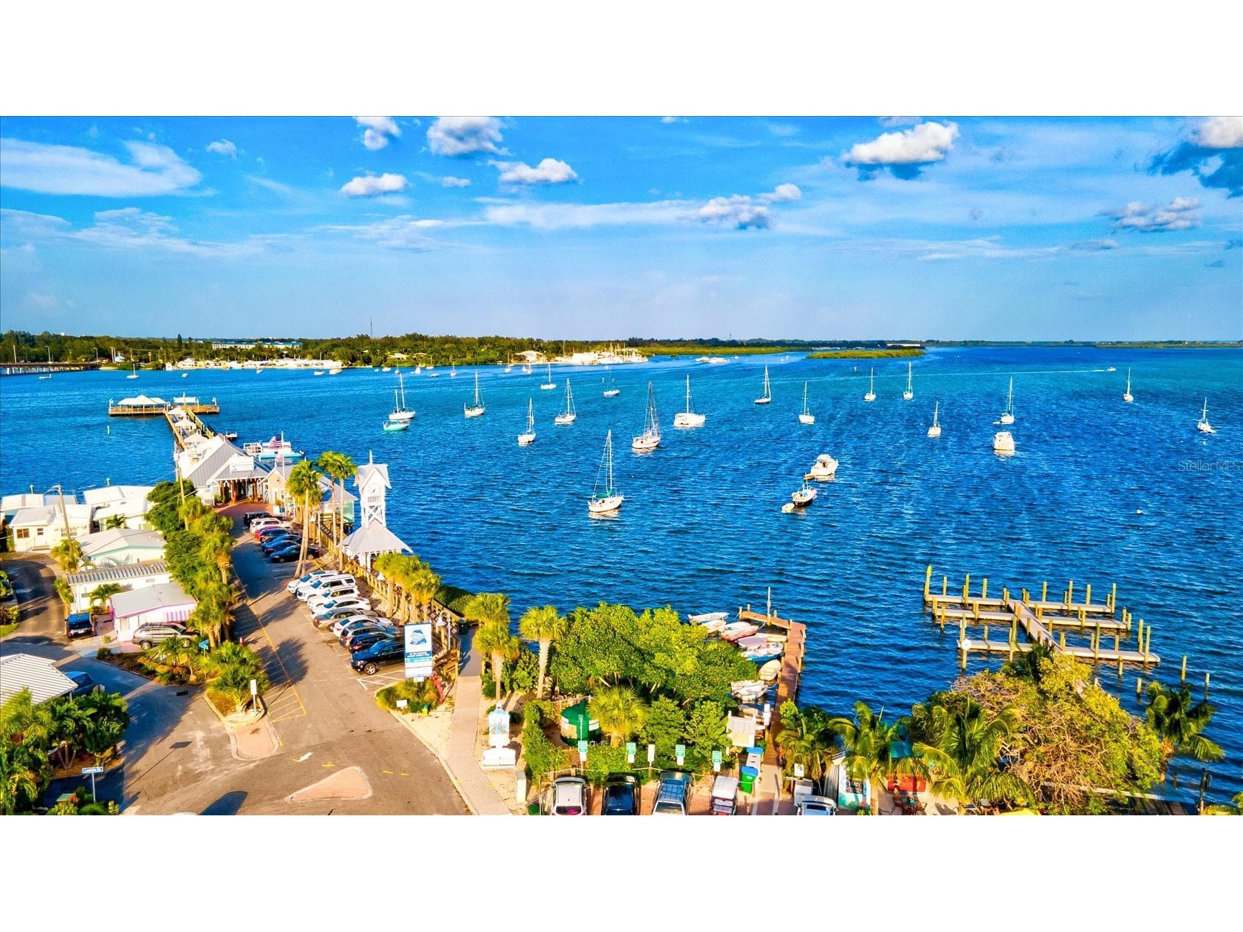 4612 Park Lake Terrace N Bradenton FL 34209 A4692622 image65