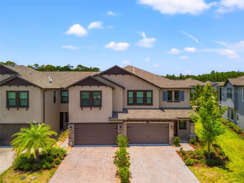 4613 Ancona Way Wesley Chapel FL 33543 T3531083 image1