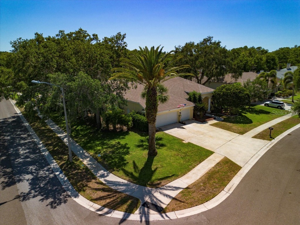 4613 Bardsdale Drive Palm Harbor FL 34685 U8198003 image1