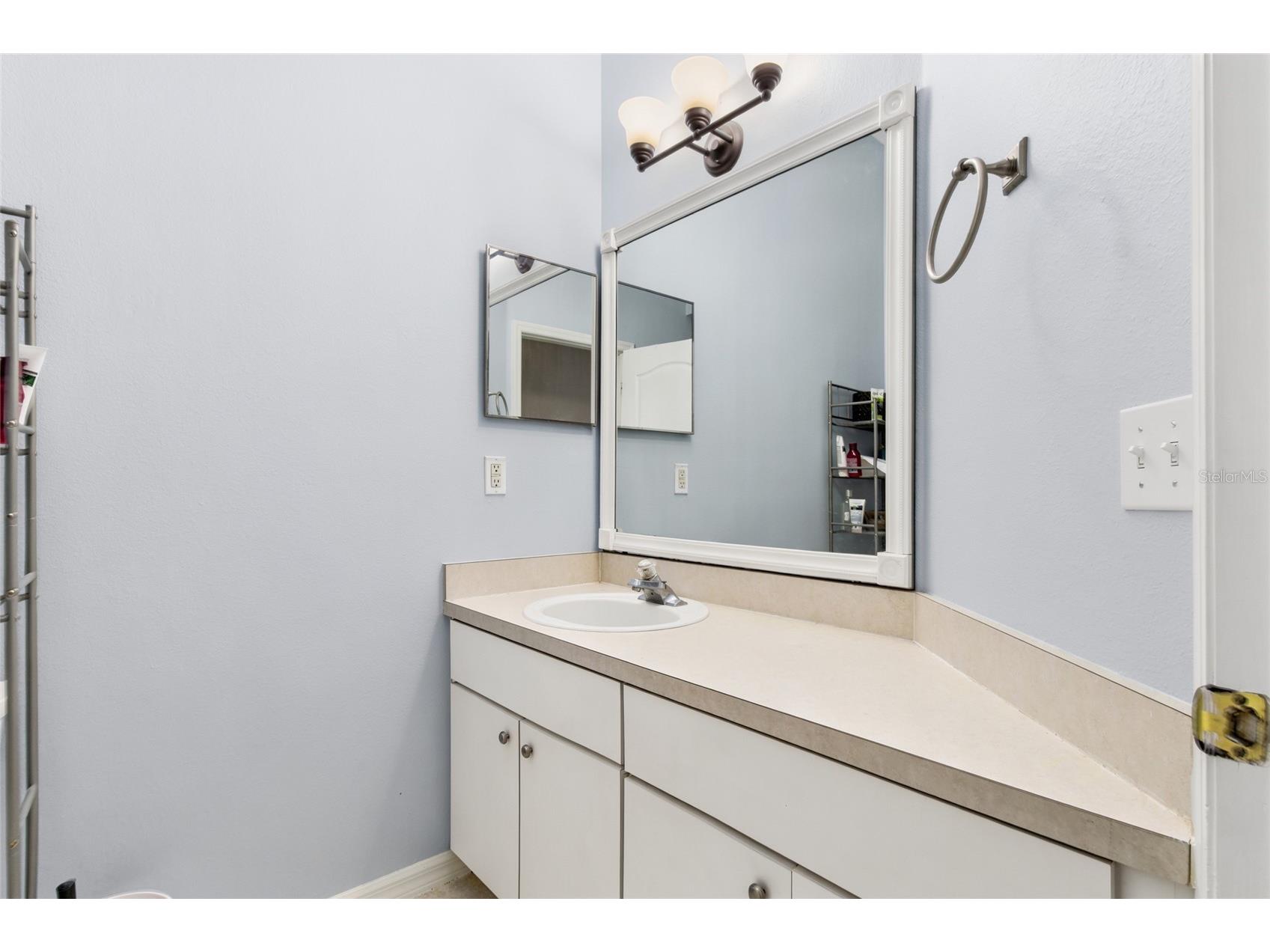 4613 Corsage Drive Lutz FL 33558 TB8517660 image16