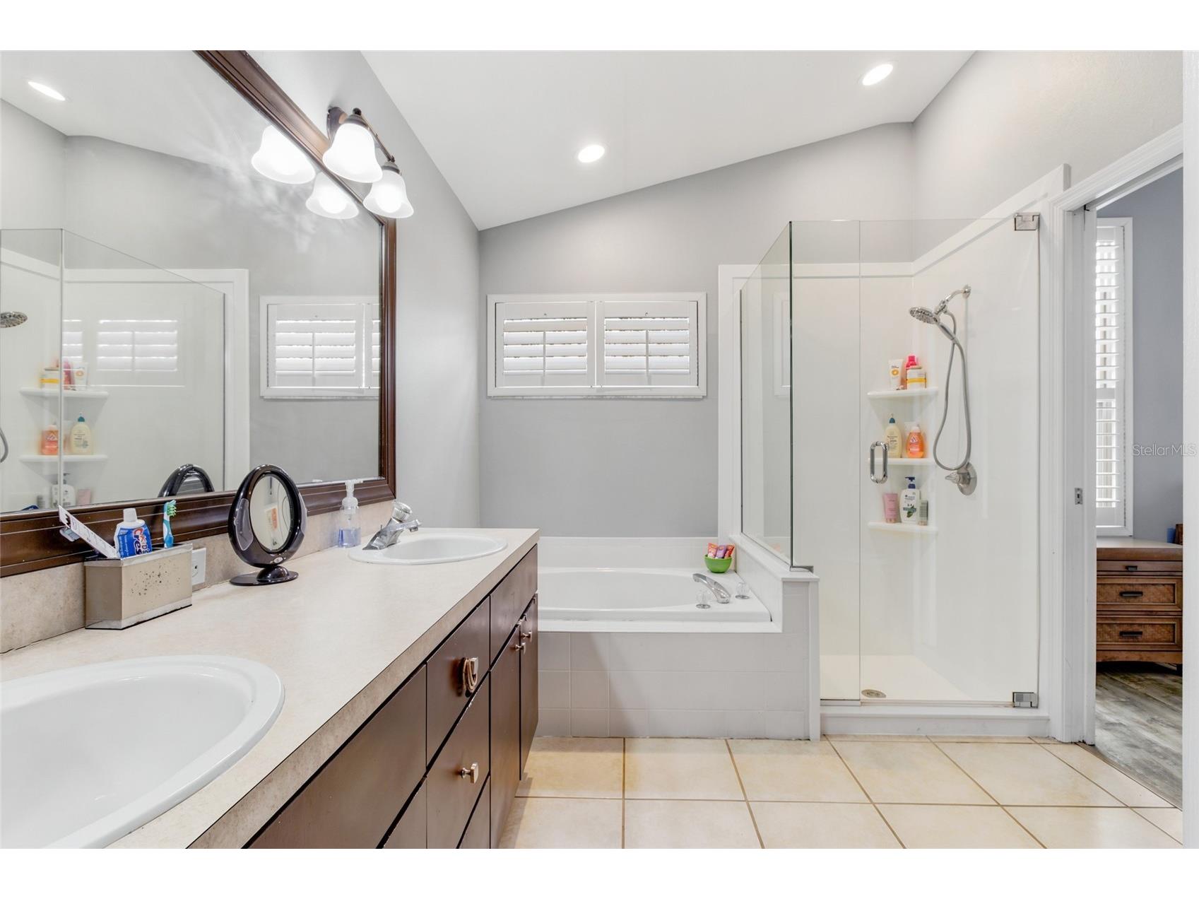 4613 Corsage Drive Lutz FL 33558 TB8517660 image22