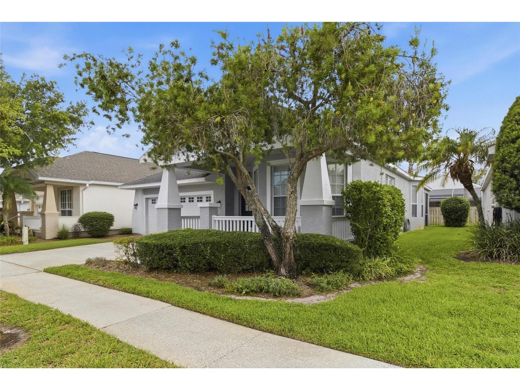 4613 Corsage Drive Lutz FL 33558 TB8517660 image3