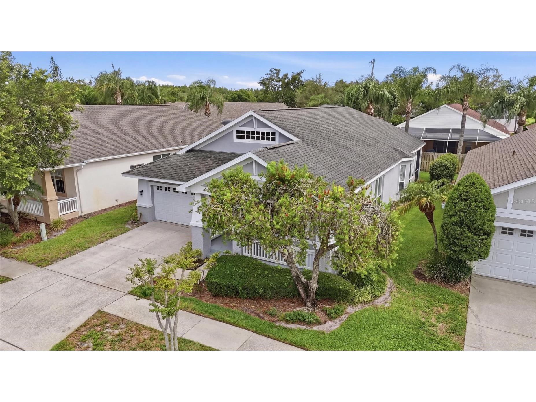 4613 Corsage Drive Lutz FL 33558 TB8517660 image40