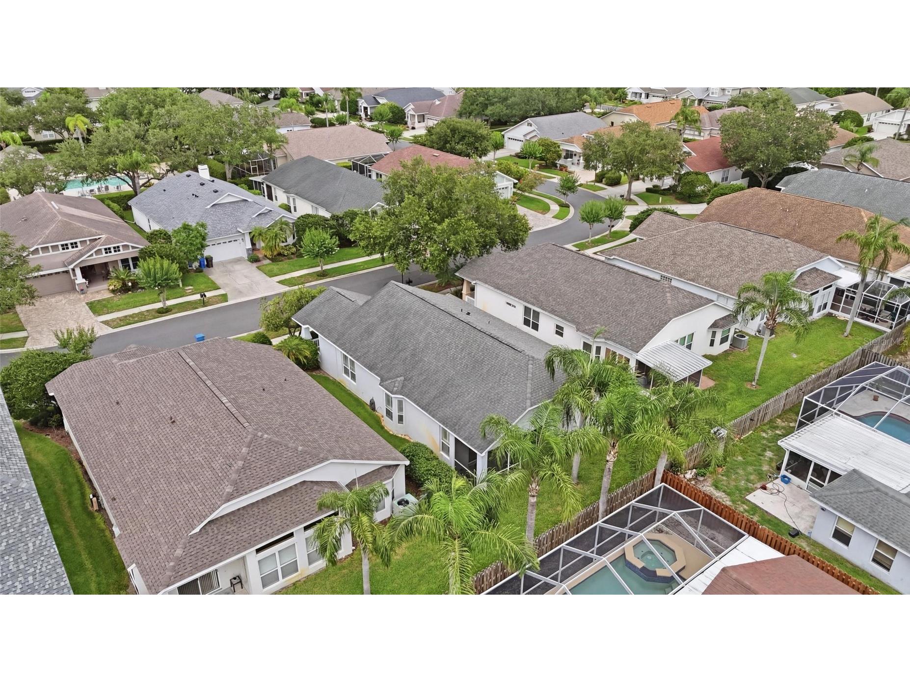 4613 Corsage Drive Lutz FL 33558 TB8517660 image43