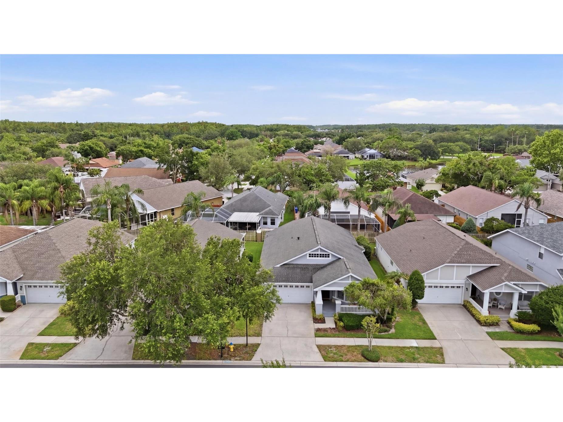 4613 Corsage Drive Lutz FL 33558 TB8517660 image44
