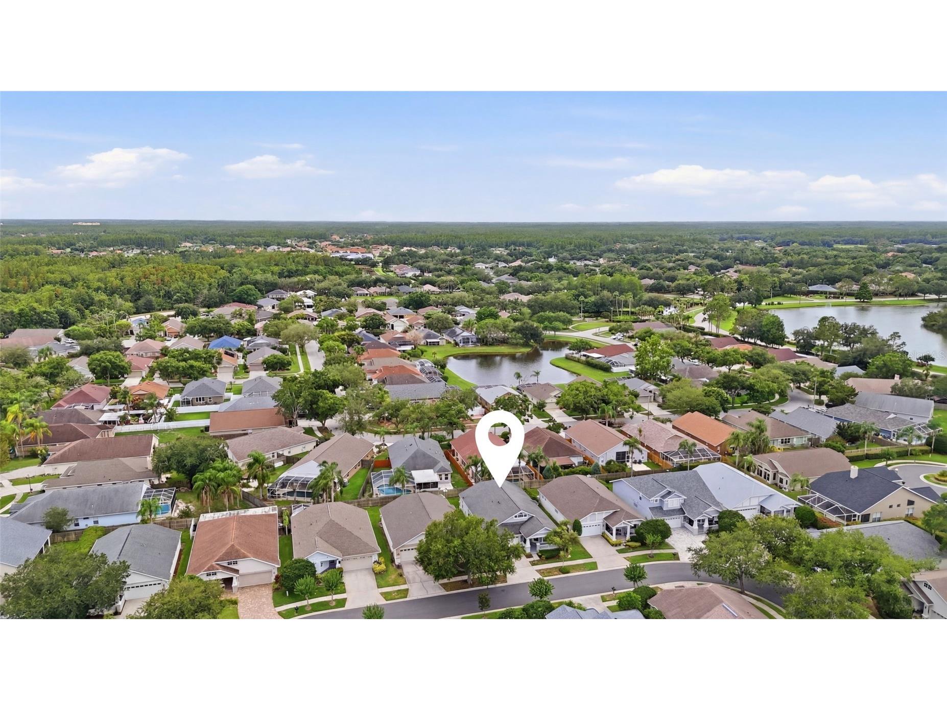 4613 Corsage Drive Lutz FL 33558 TB8517660 image45