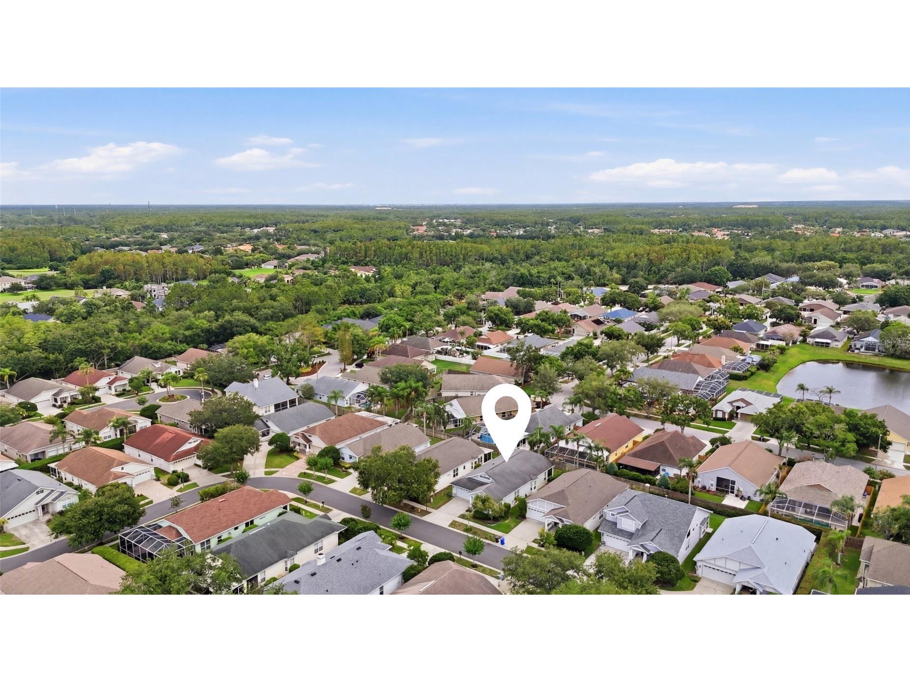 4613 Corsage Drive Lutz FL 33558 TB8517660 image46