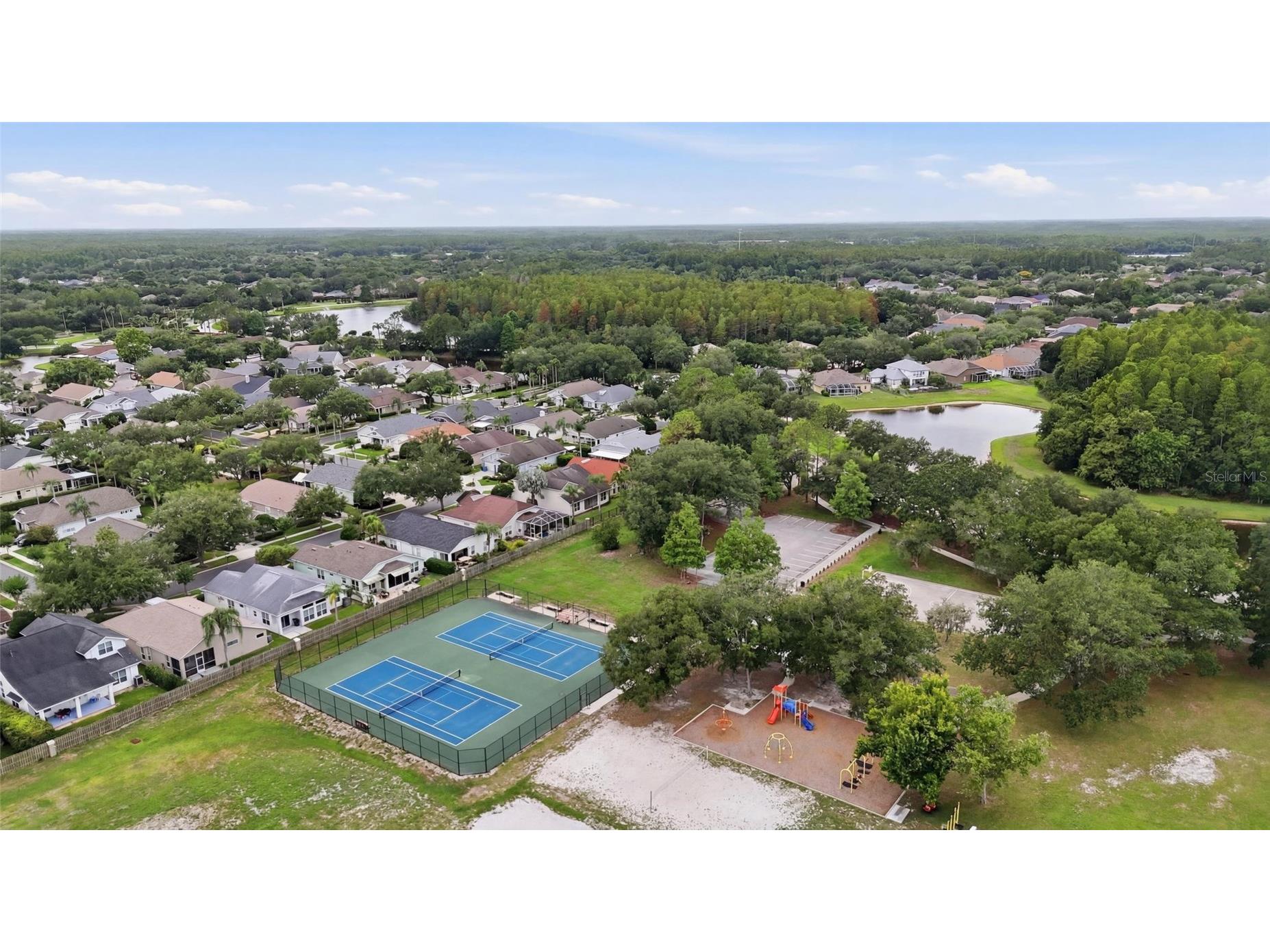 4613 Corsage Drive Lutz FL 33558 TB8517660 image47