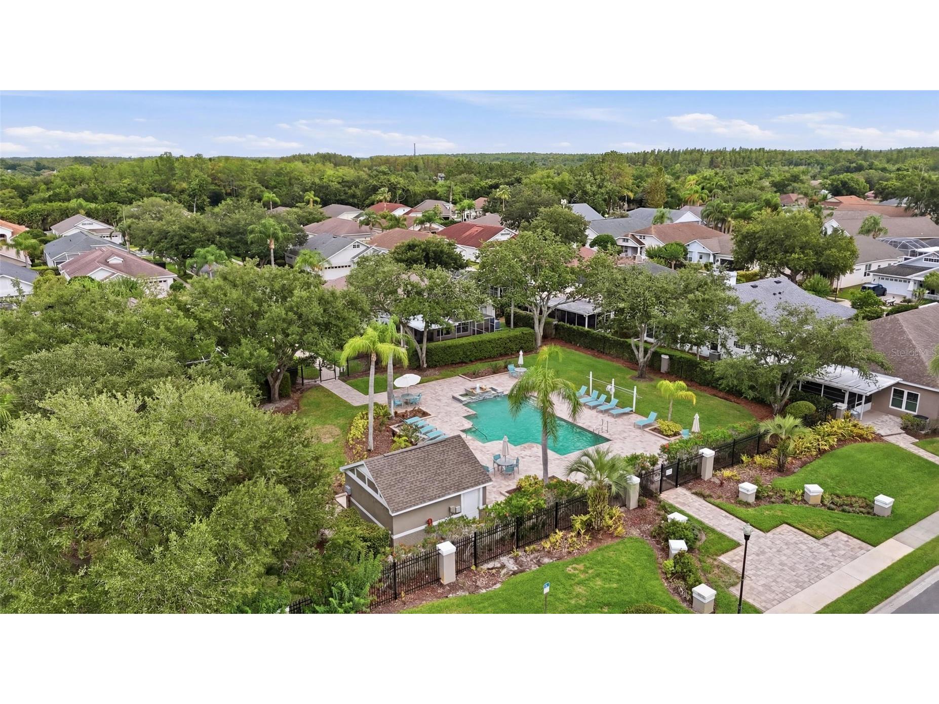 4613 Corsage Drive Lutz FL 33558 TB8517660 image48