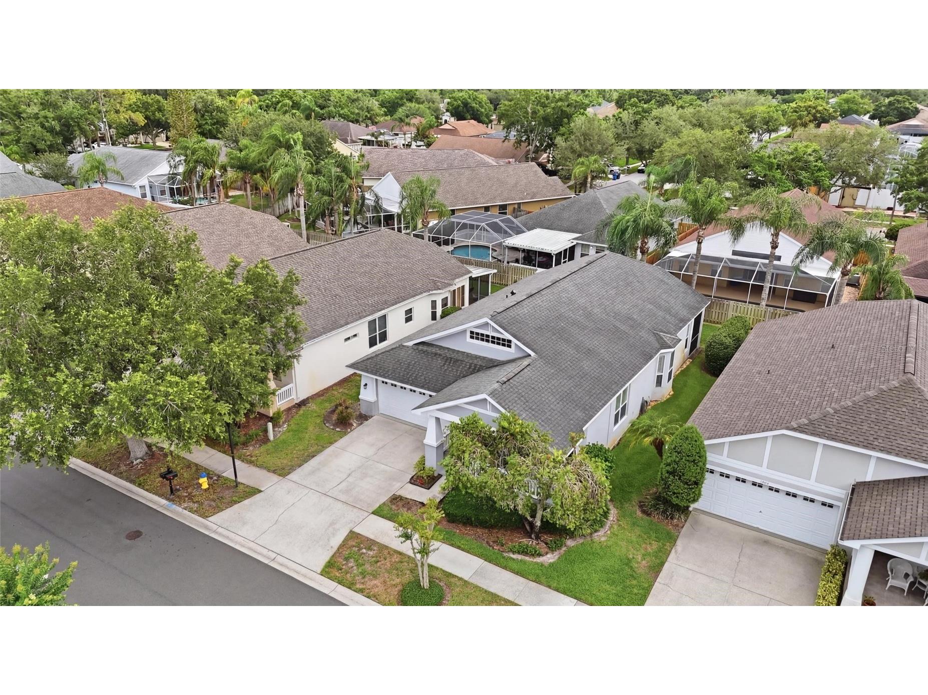 4613 Corsage Drive Lutz FL 33558 TB8517660 image50