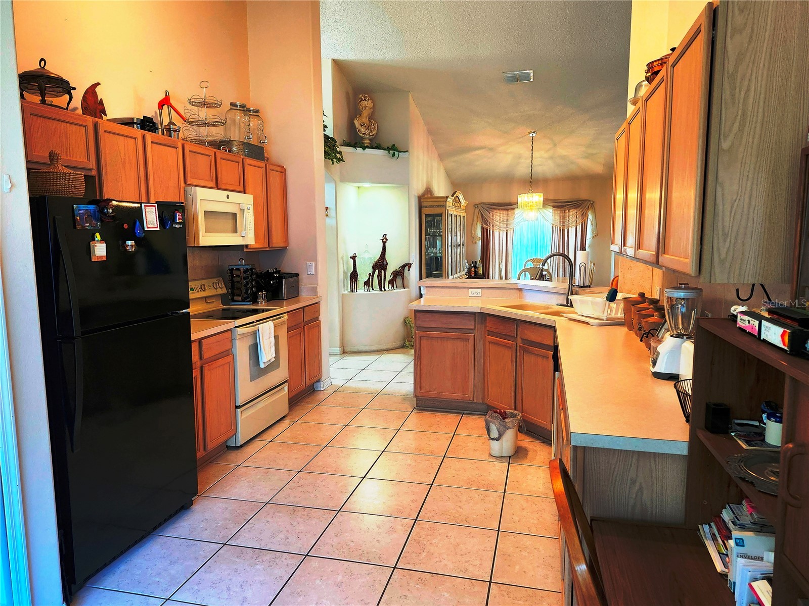 4613 Eaglet Lane Kissimmee FL 34746 R4909185 image3