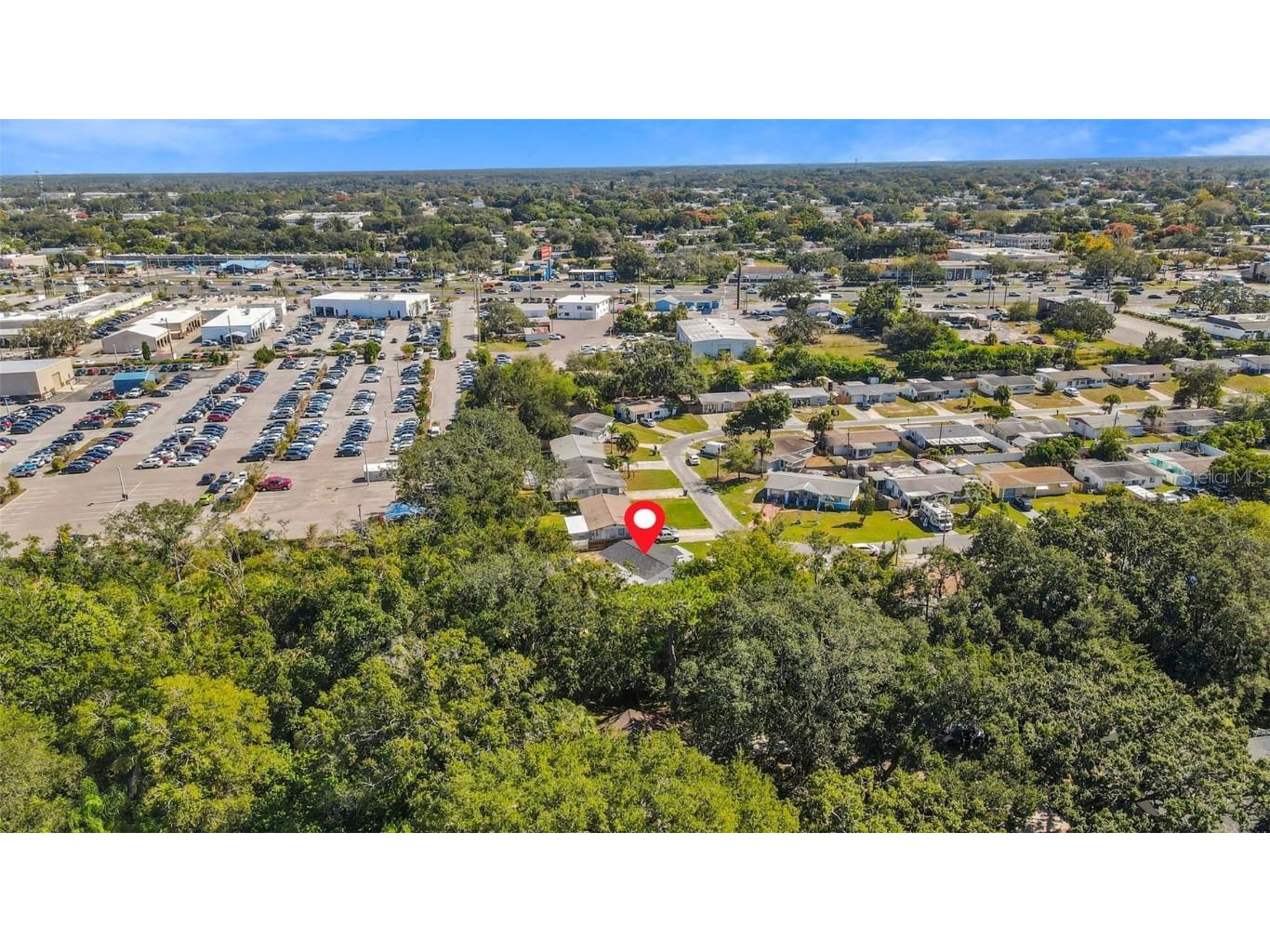 4613 Irene Loop New Port Richey FL 34652 TB8442132 image47