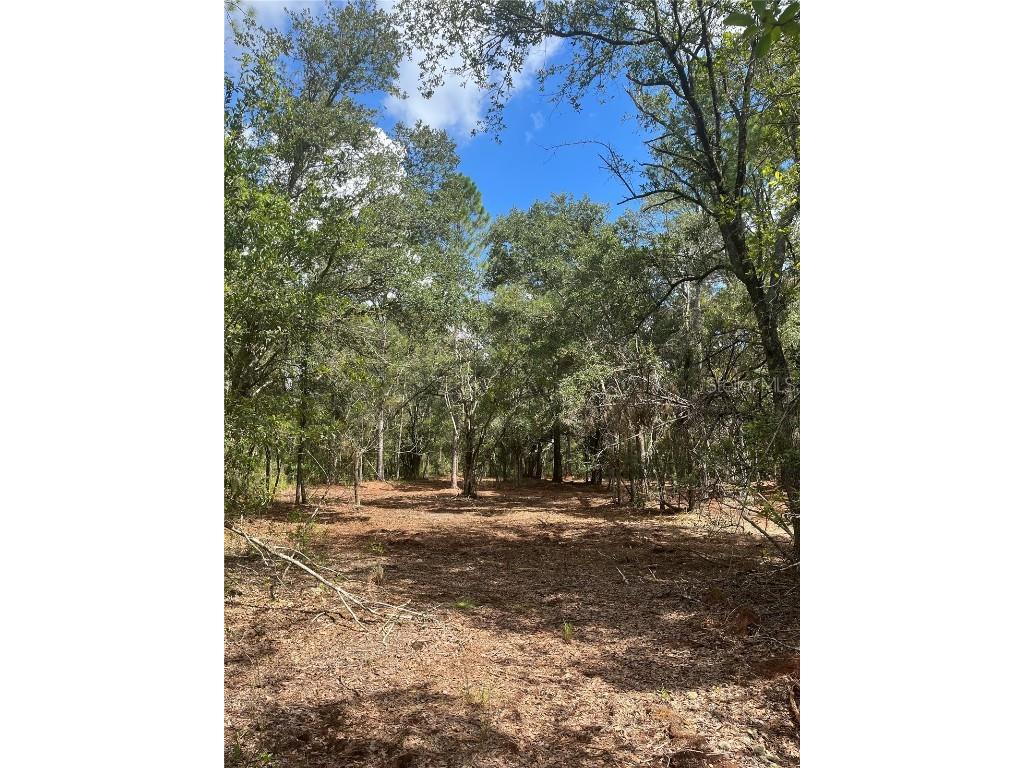 4613 Kola Road New Smyrna Beach FL 32168 O6133988 image1