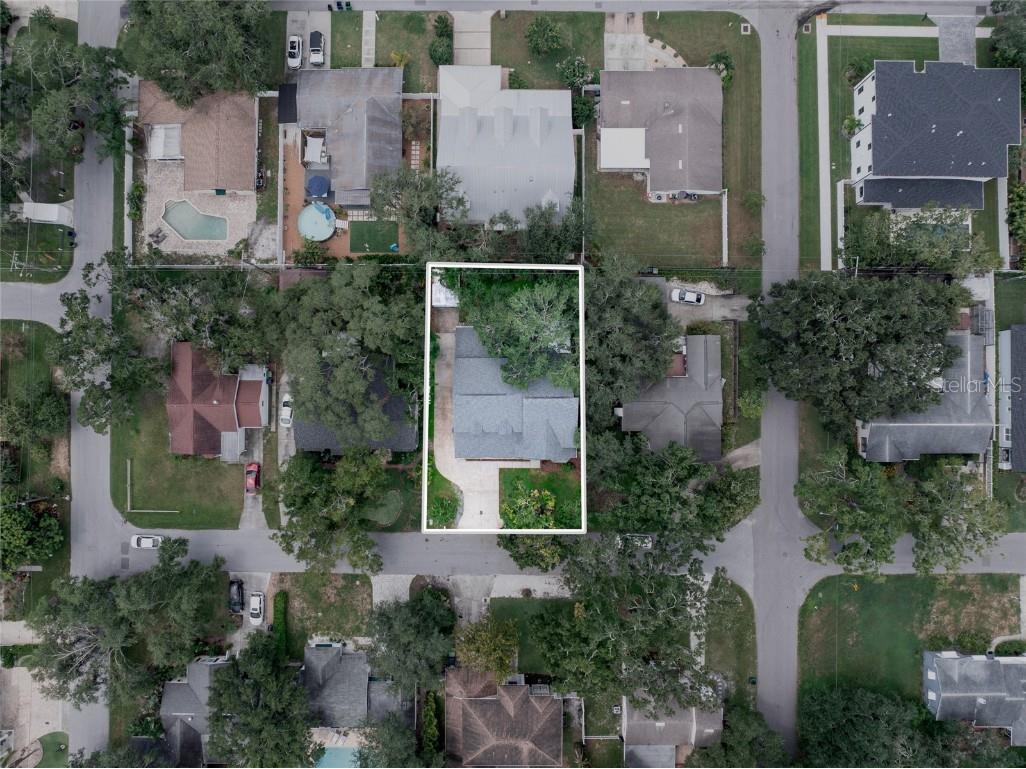 4613 Matanzas Avenue S Tampa FL 33611 TB8423036 image68