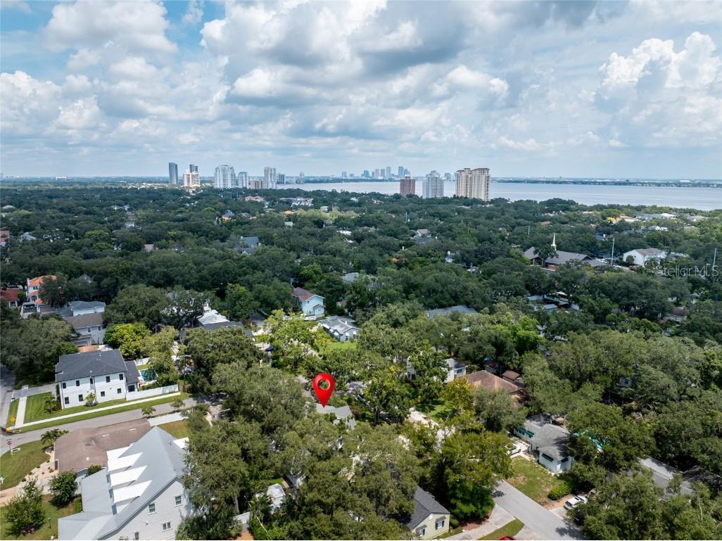 4613 Matanzas Avenue S Tampa FL 33611 TB8423036 image69