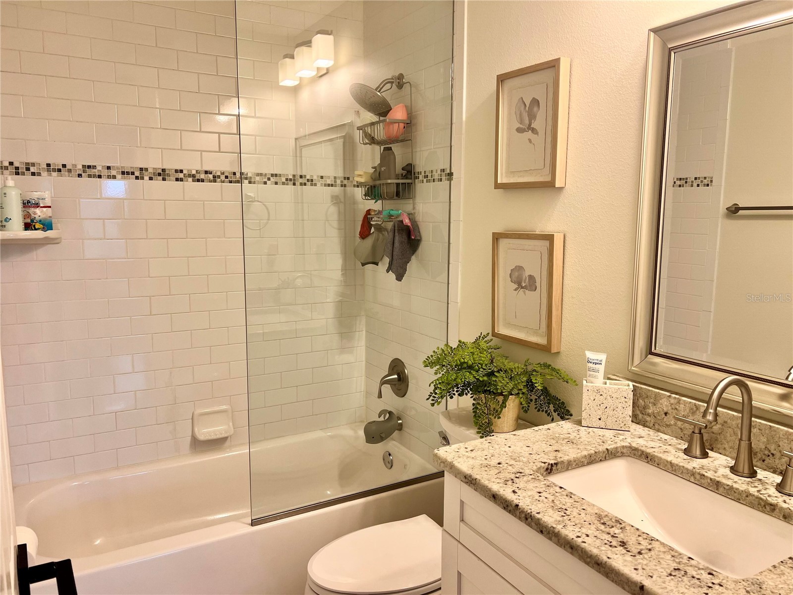 4613 S Ferdinand Avenue Tampa FL 33611 O6410036 image22