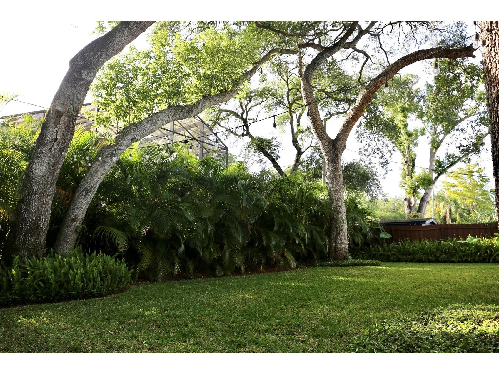 4613 S Ferdinand Avenue Tampa FL 33611 O6410036 image7