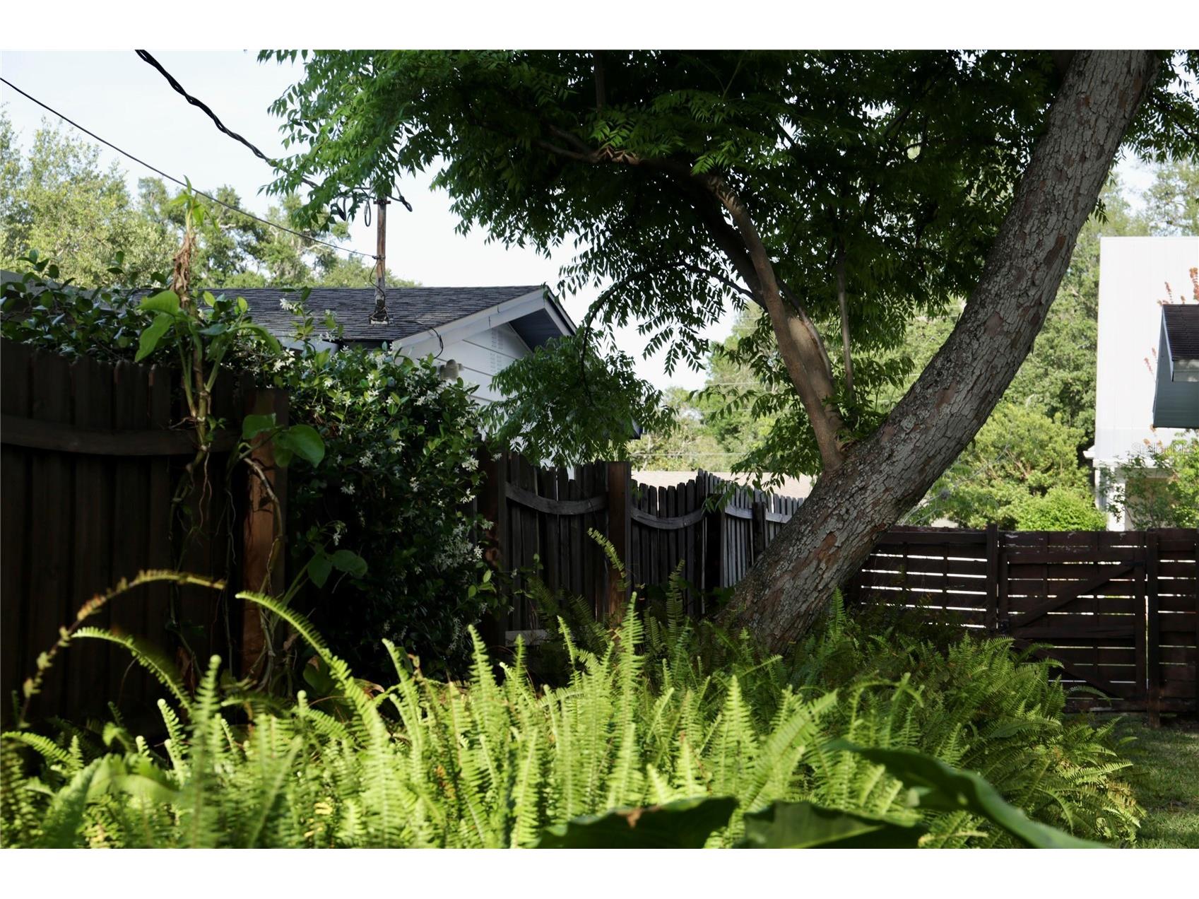 4613 S Ferdinand Avenue Tampa FL 33611 O6410036 image9