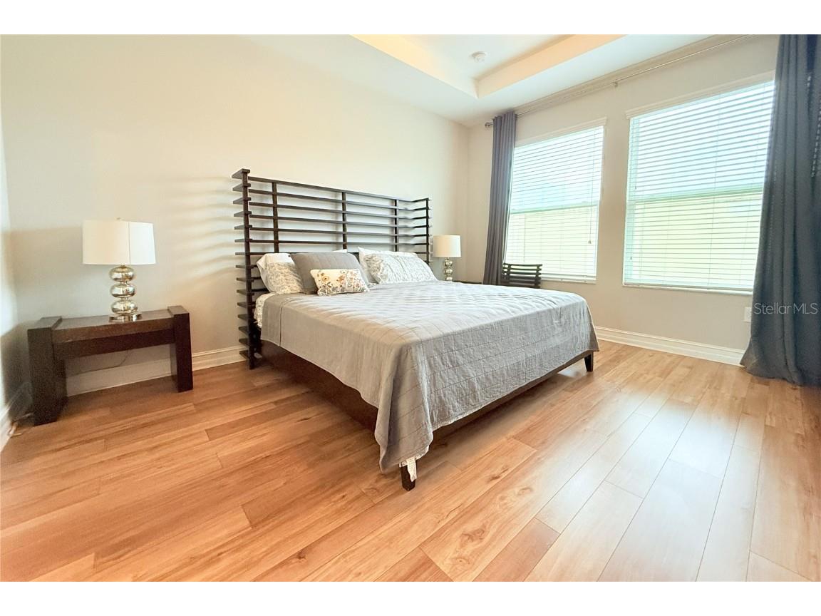 4614 Tramanto Lane Wesley Chapel FL 33543 TB8437757 image15