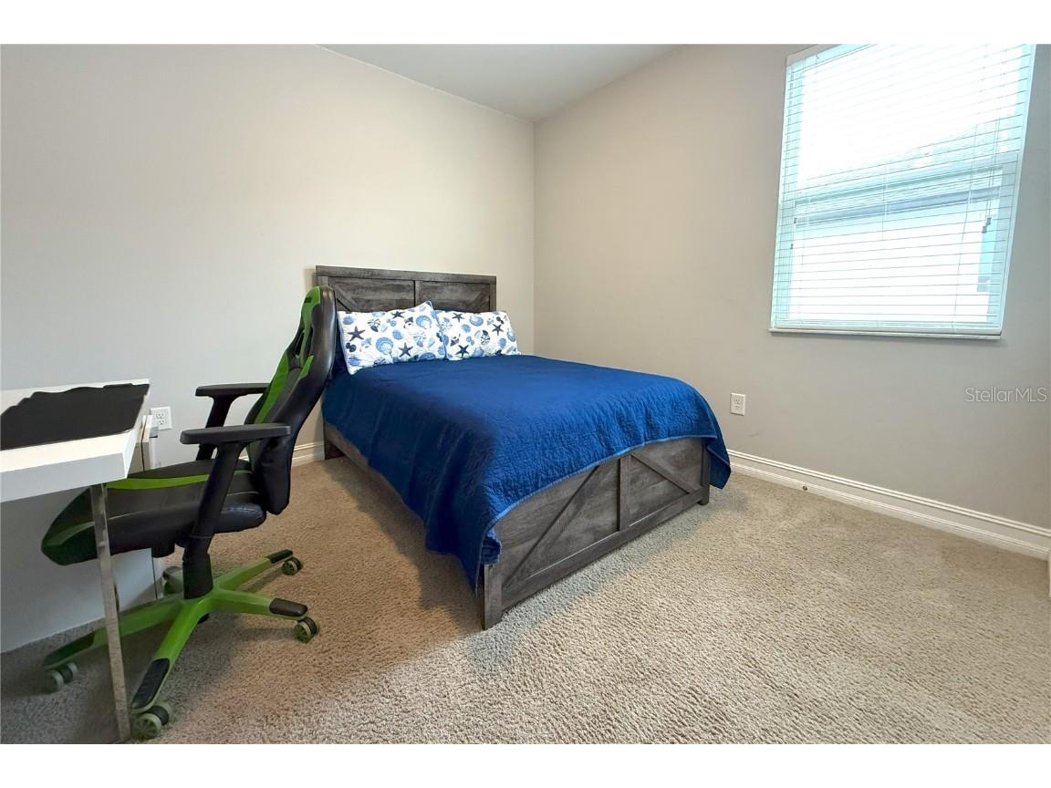 4614 Tramanto Lane Wesley Chapel FL 33543 TB8437757 image23