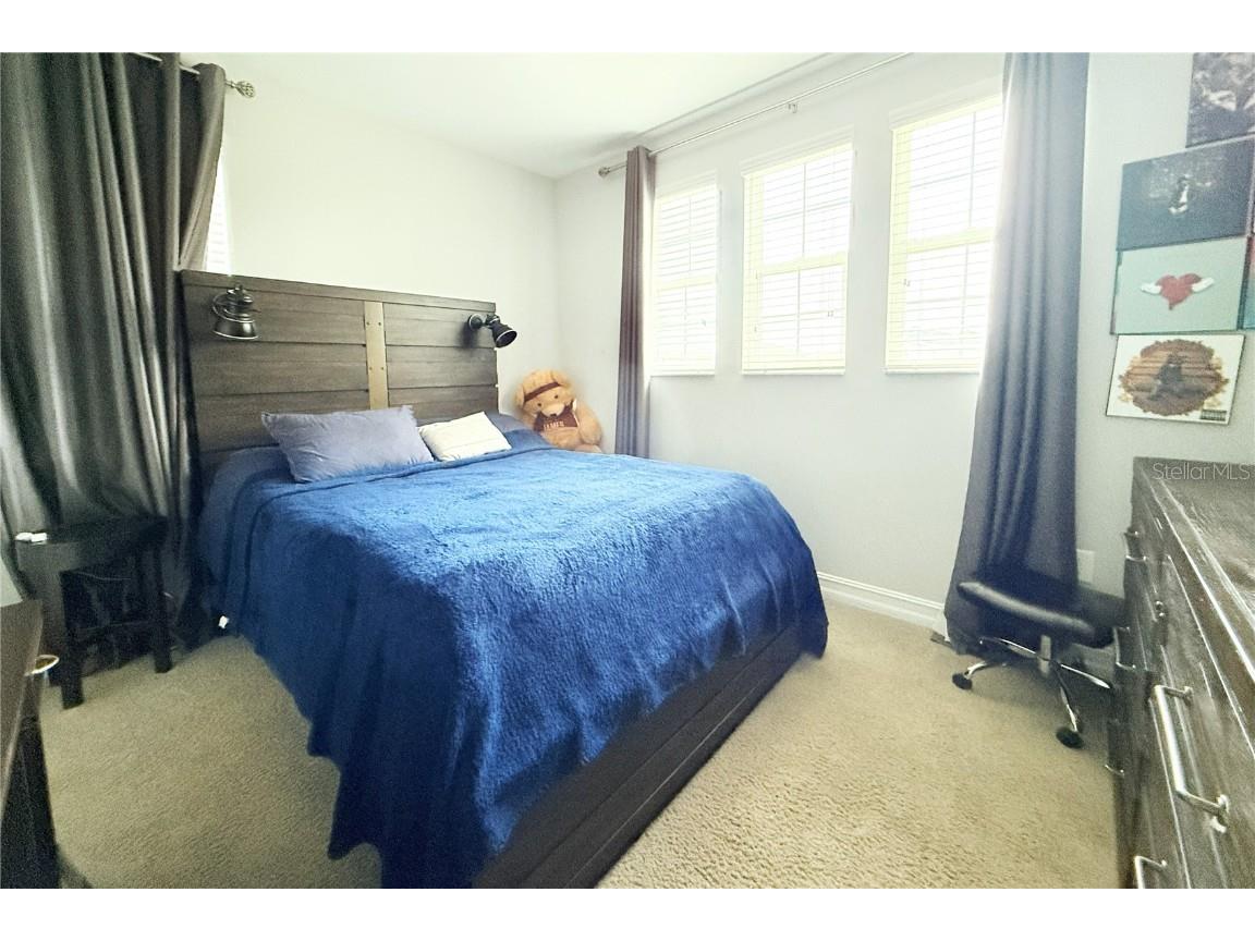 4614 Tramanto Lane Wesley Chapel FL 33543 TB8437757 image24