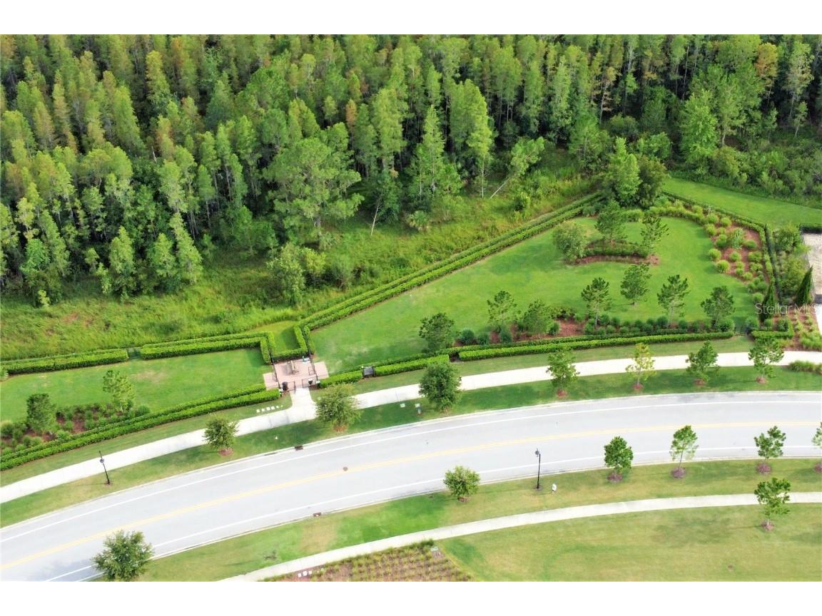 4614 Tramanto Lane Wesley Chapel FL 33543 TB8437757 image60