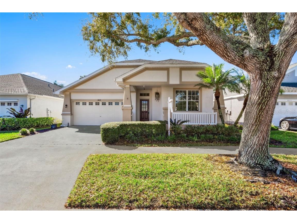 4615 Corsage Drive Lutz FL 33558 T3500855 image1