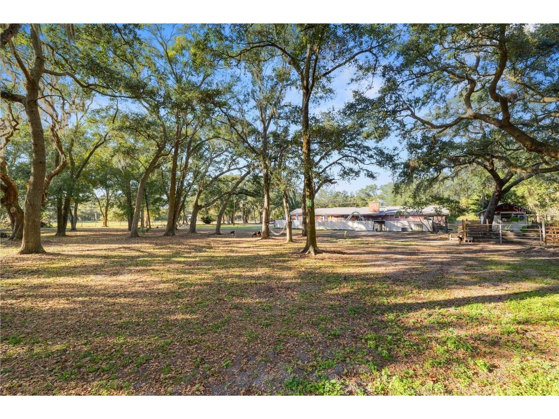 4615 Old Polk City Road Lakeland FL 33809 L4958295 image52