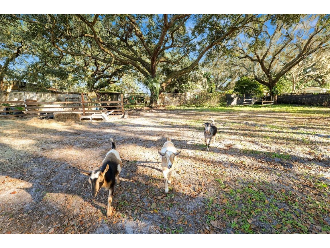 4615 Old Polk City Road Lakeland FL 33809 L4958295 image53