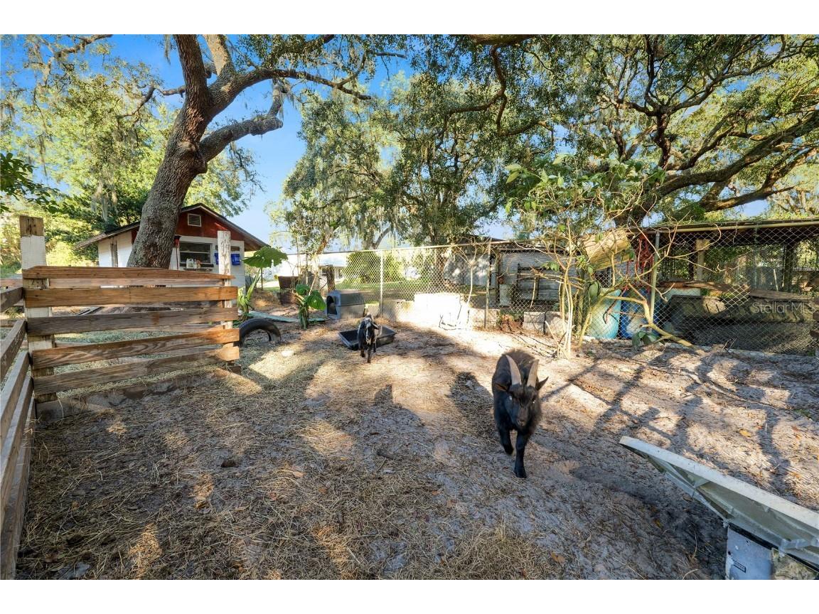 4615 Old Polk City Road Lakeland FL 33809 L4958295 image54