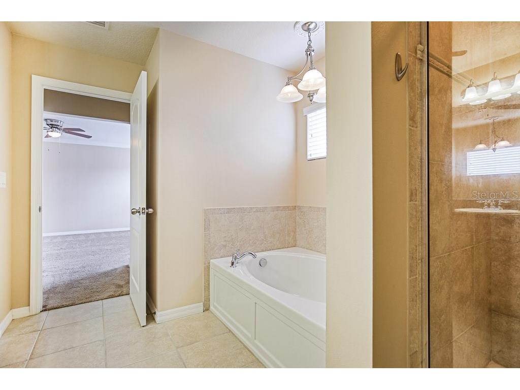 4615 Watson Woods Way Riverview FL 33578 TB8509711 image27