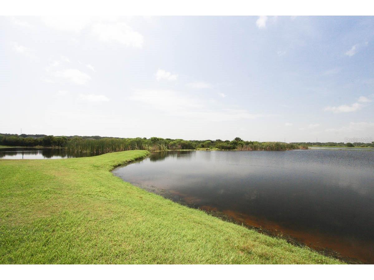 4615 Watson Woods Way Riverview FL 33578 TB8509711 image37