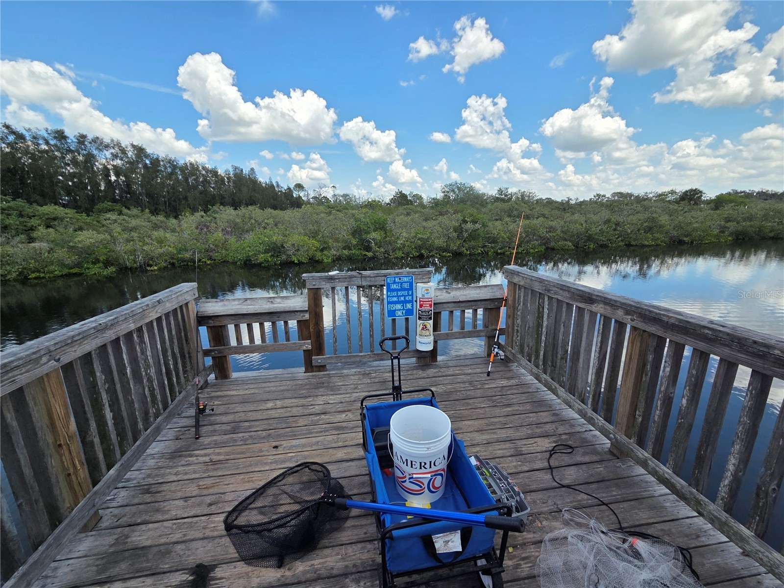 4616 Irene Loop New Port Richey FL 34652 TB8508103 image28
