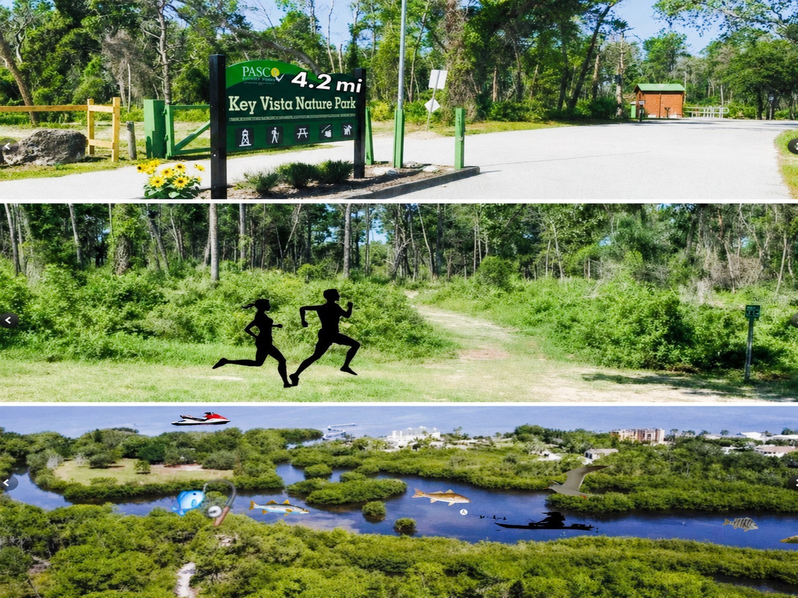 4616 Irene Loop New Port Richey FL 34652 TB8508103 image34