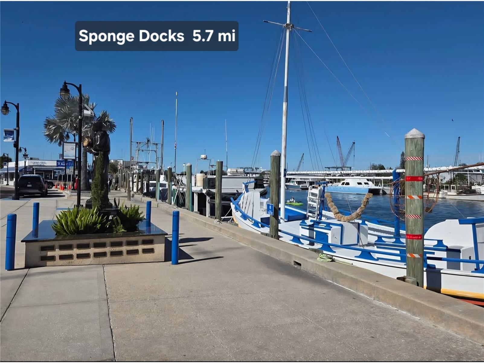 4616 Irene Loop New Port Richey FL 34652 TB8508103 image35