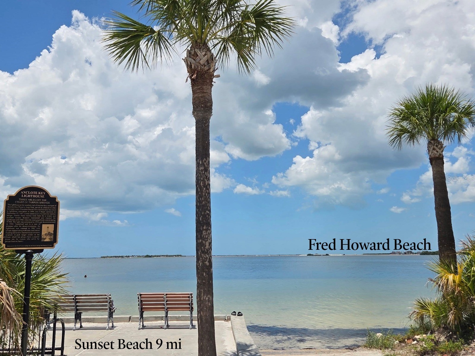 4616 Irene Loop New Port Richey FL 34652 TB8508103 image41