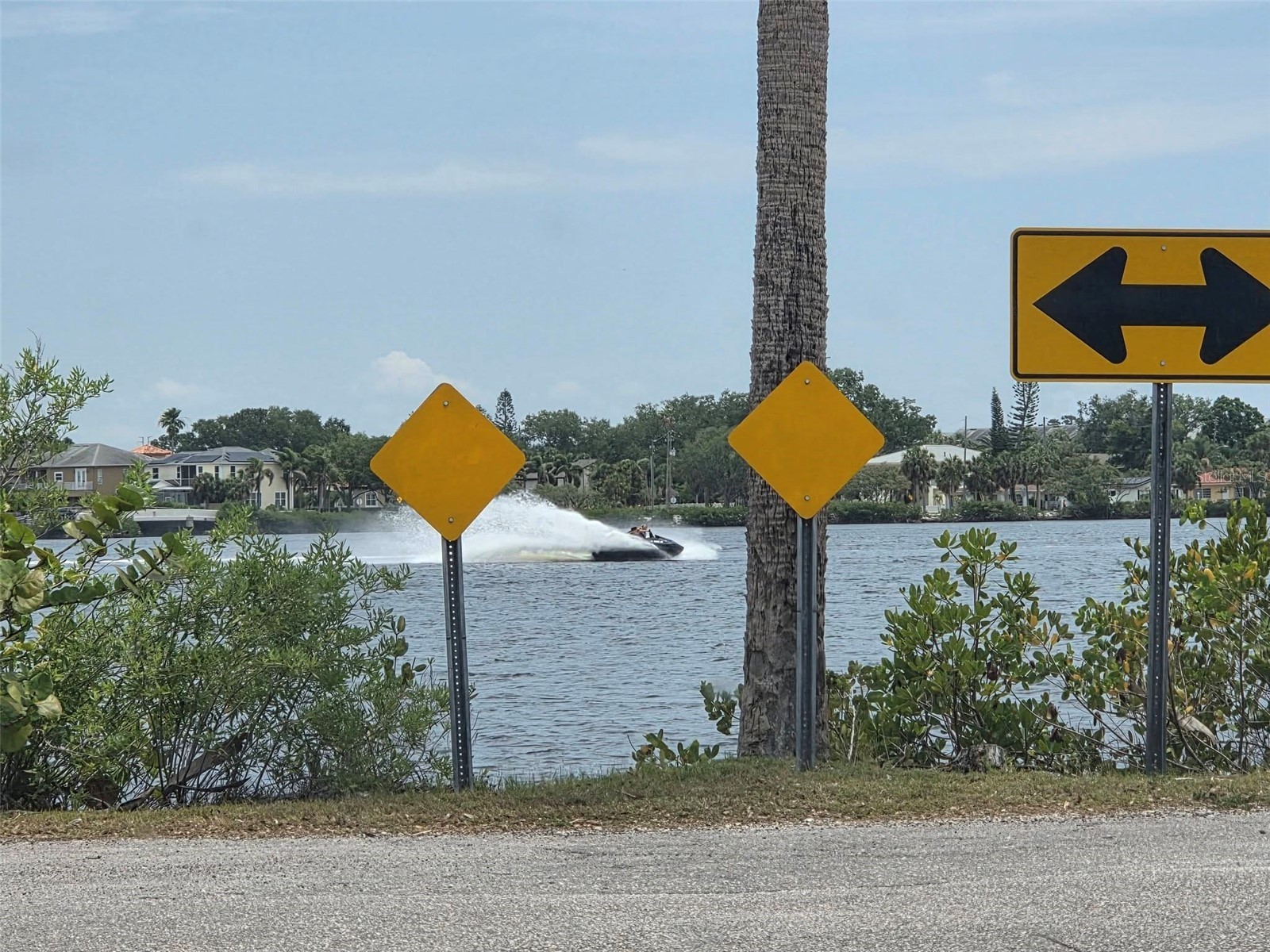 4616 Irene Loop New Port Richey FL 34652 TB8508103 image45