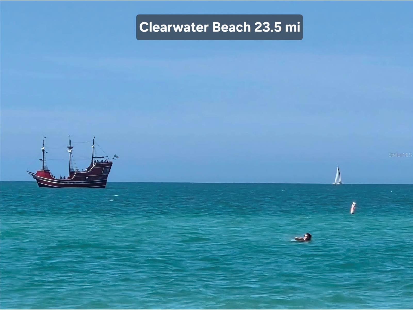 4616 Irene Loop New Port Richey FL 34652 TB8508103 image49