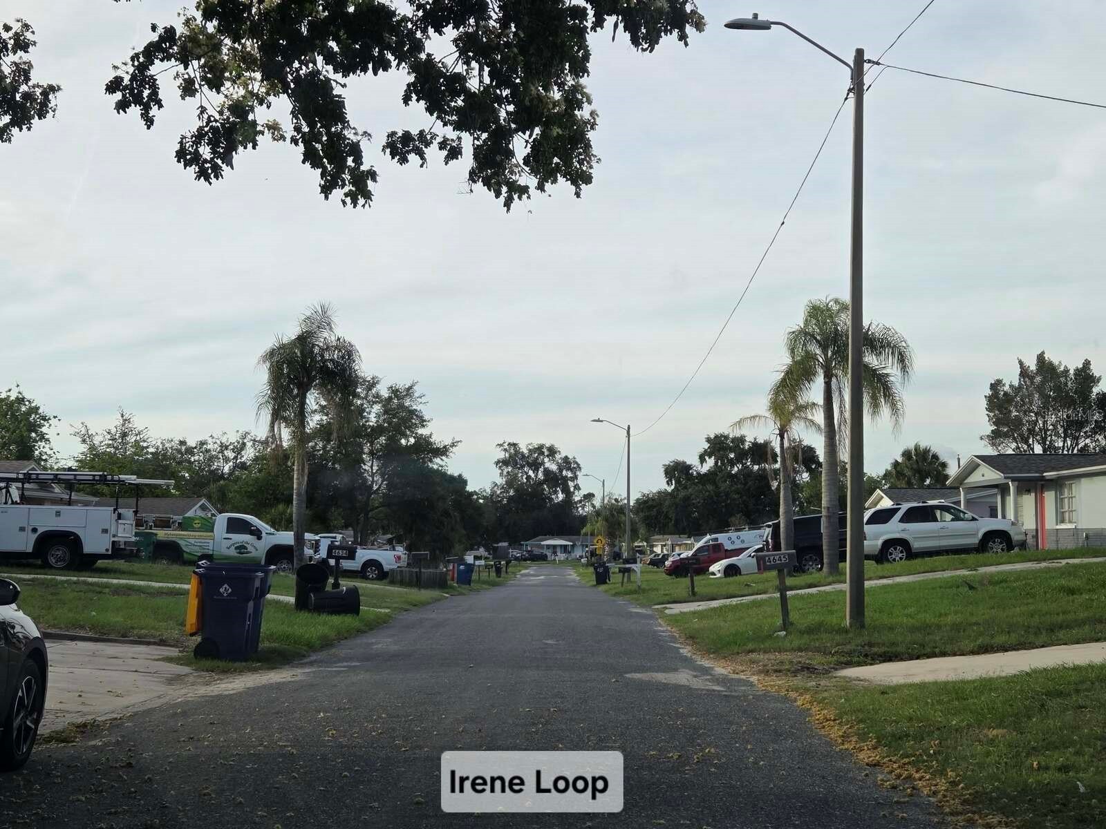 4616 Irene Loop New Port Richey FL 34652 TB8508103 image54