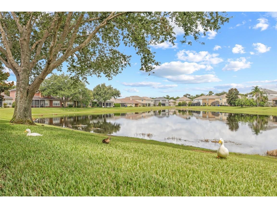 4616 Lathloa Loop Lakeland FL 33811 TB8411805 image48