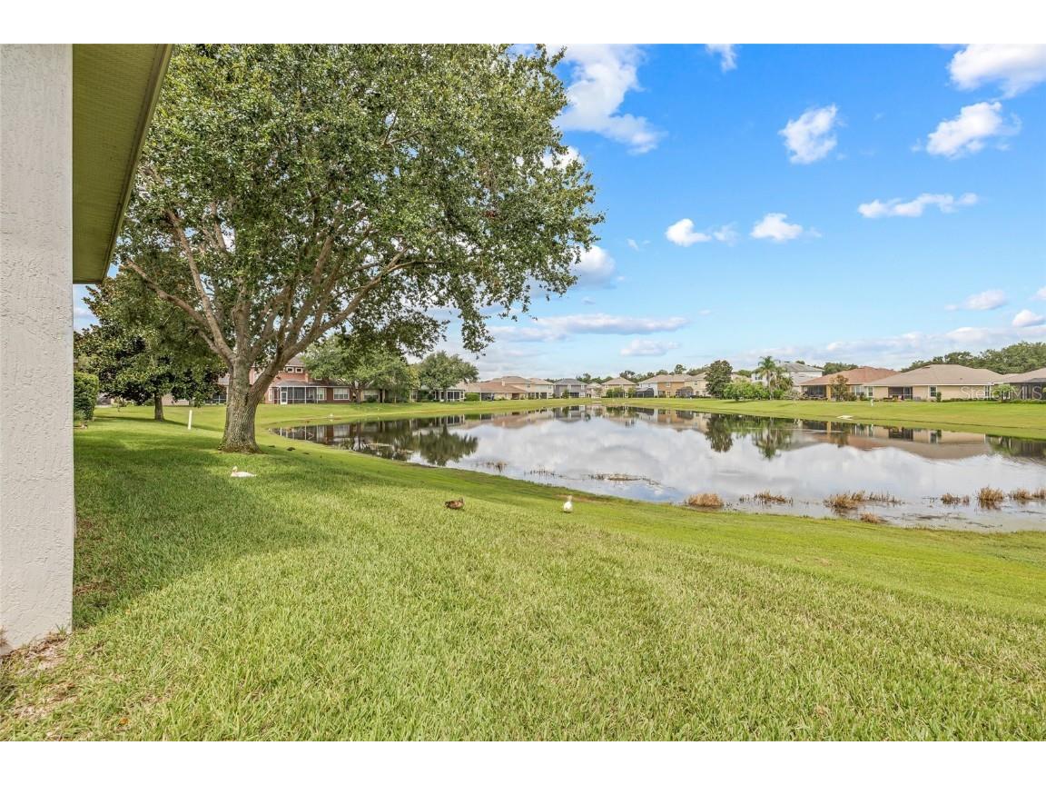 4616 Lathloa Loop Lakeland FL 33811 TB8411805 image49