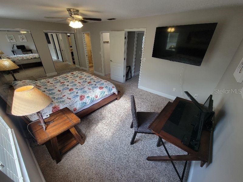 4616 W North B Street Tampa FL 33609 W7879903 image21