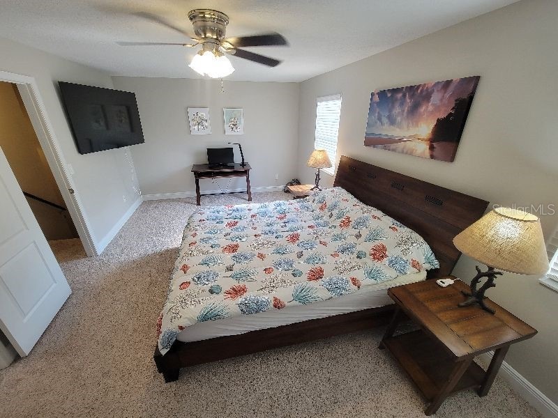 4616 W North B Street Tampa FL 33609 W7879903 image22