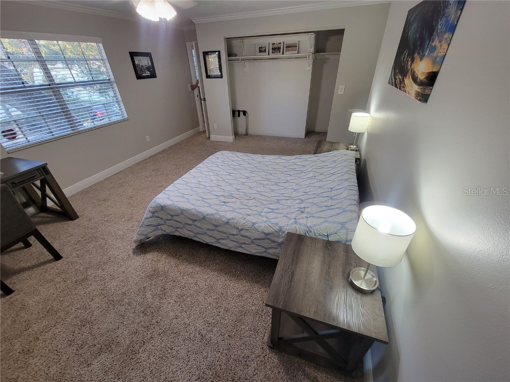 4616 W North B Street Tampa FL 33609 W7879903 image28