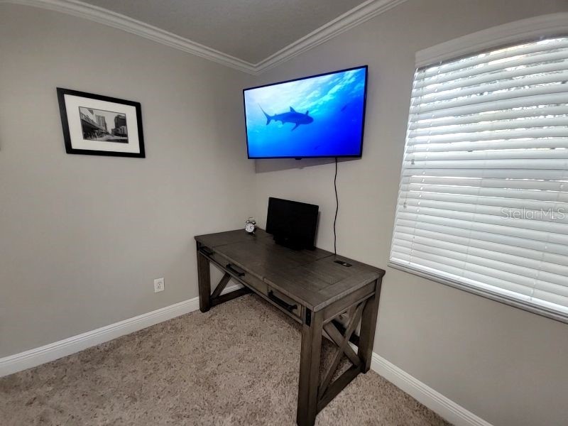 4616 W North B Street Tampa FL 33609 W7879903 image29