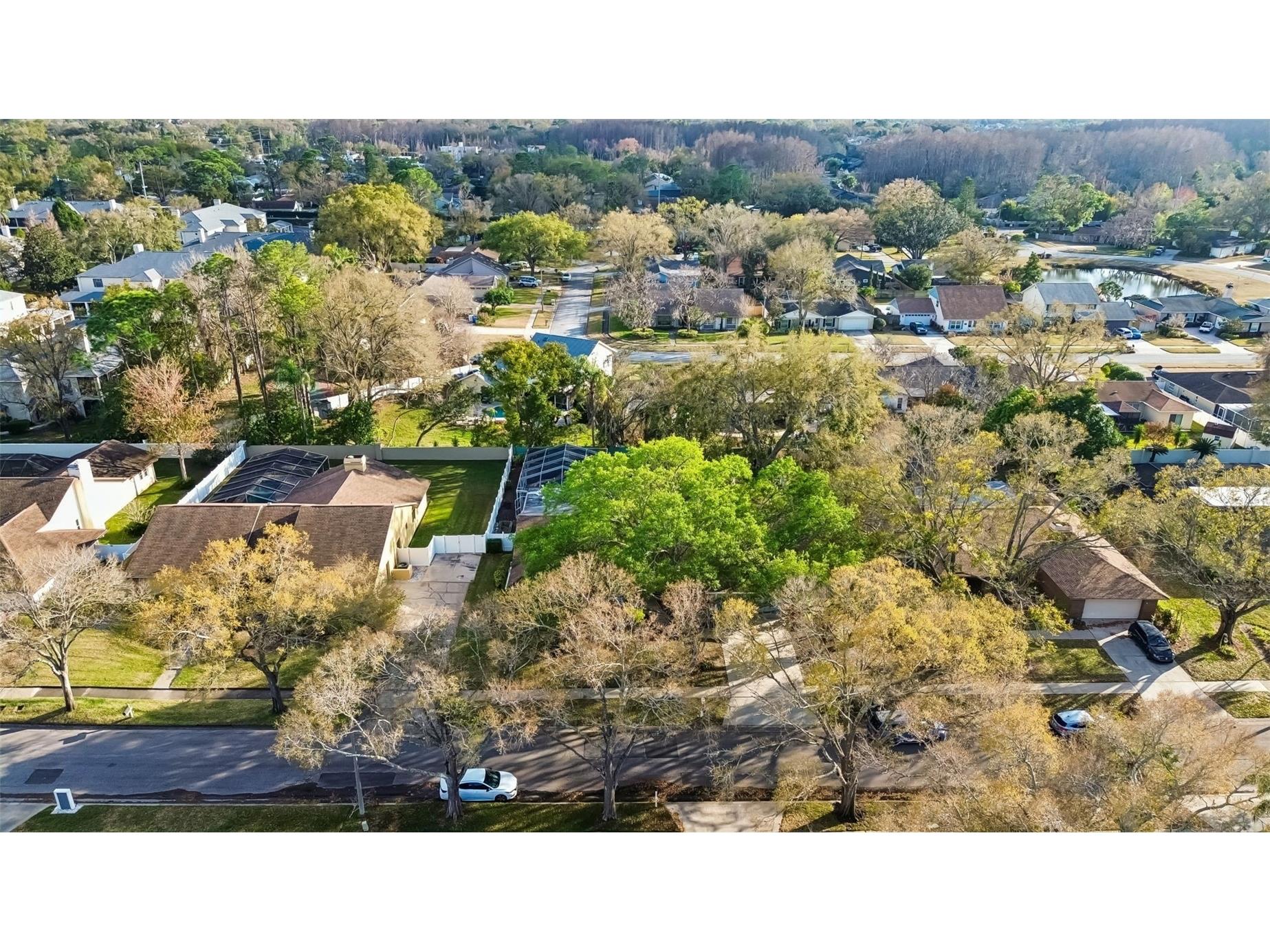 4616 Westford Circle Tampa FL 33618 TB8474422 image64