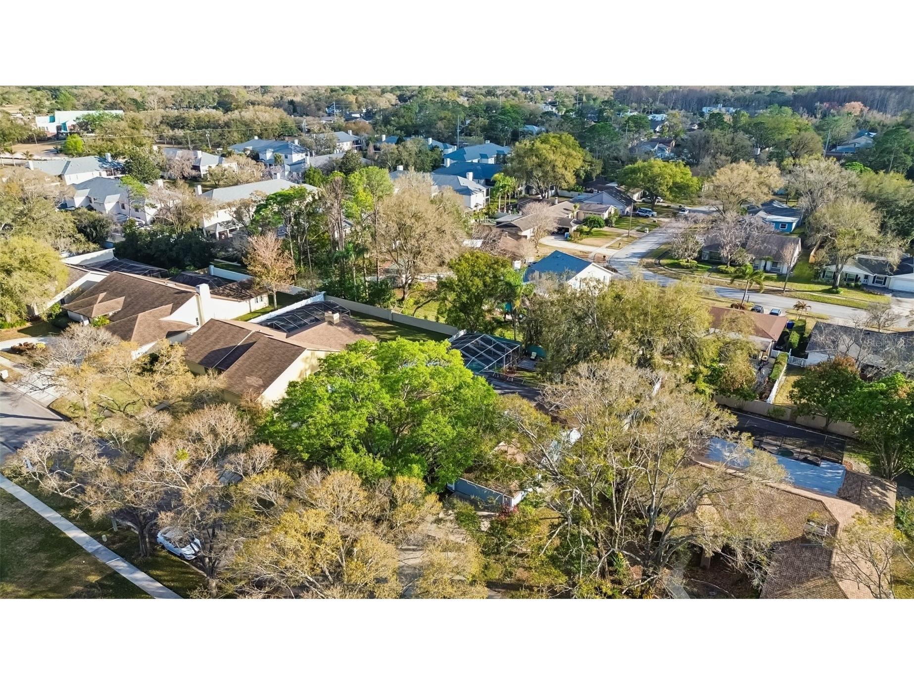 4616 Westford Circle Tampa FL 33618 TB8474422 image65