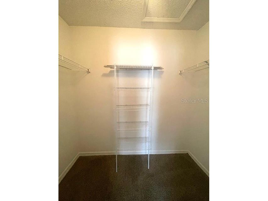 4617 Ashburn Square Drive Tampa FL 33610 TB8517408 image14