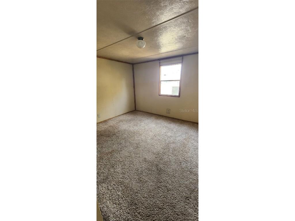 4617 Cottonwood Drive New Port Richey FL 34652 TB8404511 image3