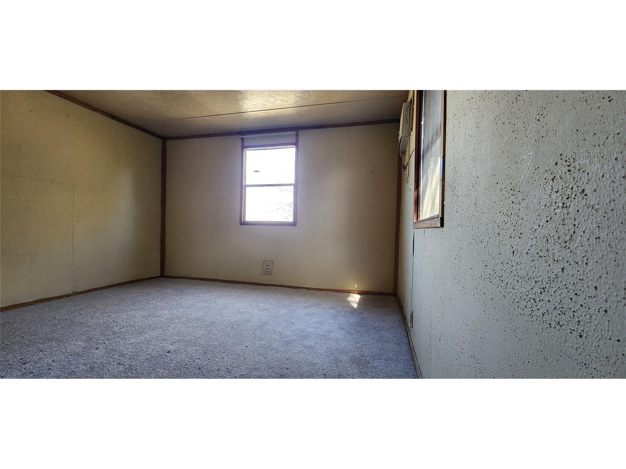 4617 Cottonwood Drive New Port Richey FL 34652 TB8404511 image7